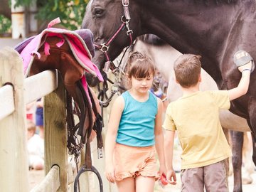 Ponykamp herfstvakantie 2026 — foto 4